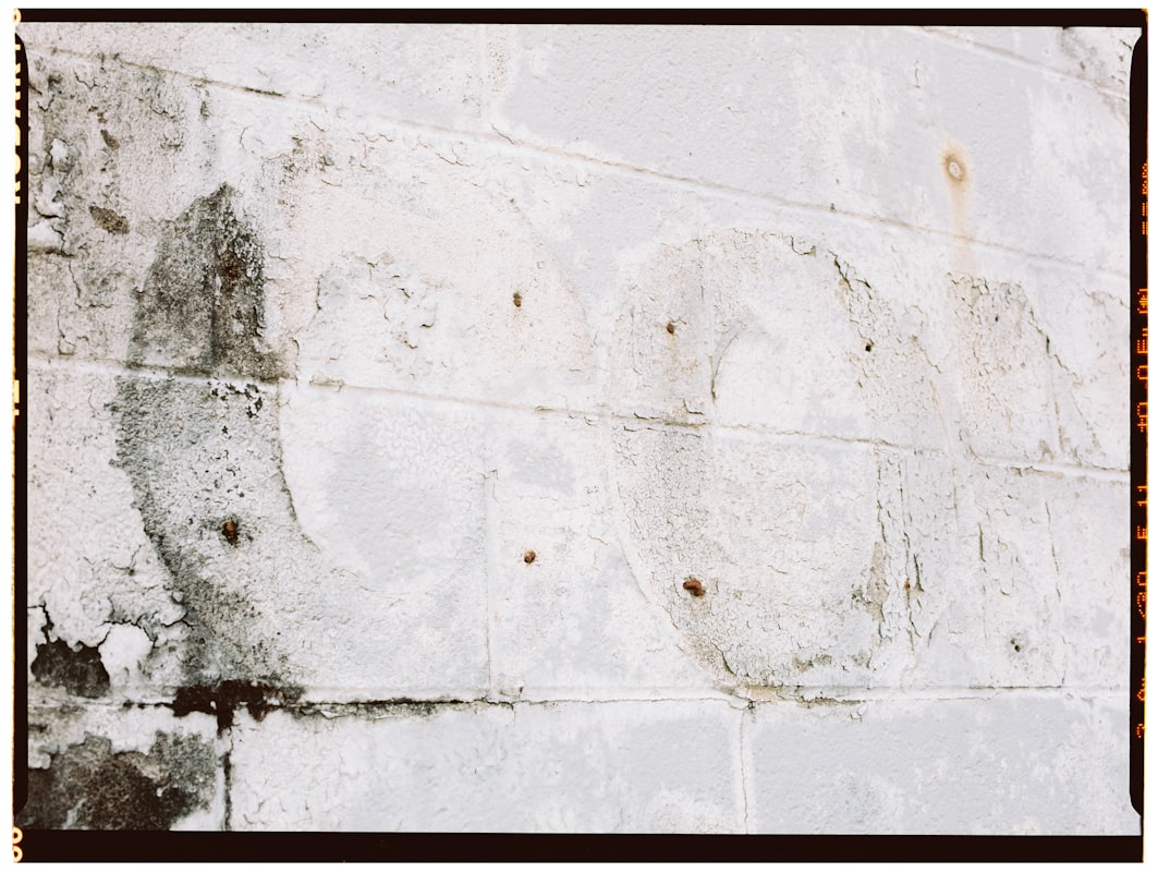 Mold Remediation service in New Rochelle, NY