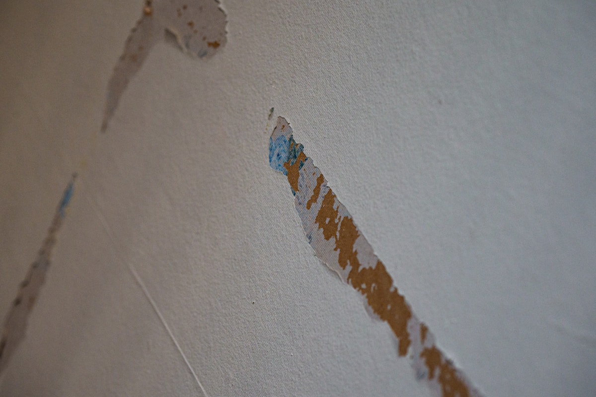 Sewage Cleanup service in New Rochelle, NY